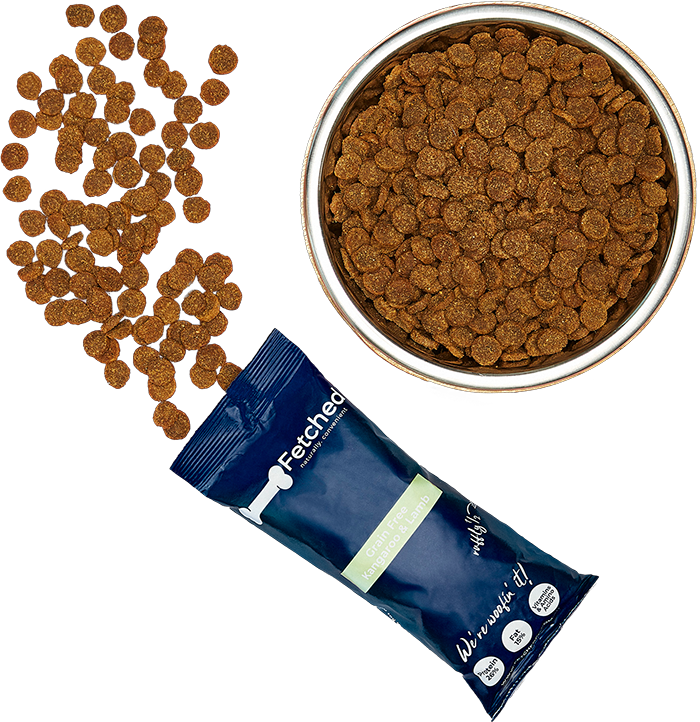 dog-food.png