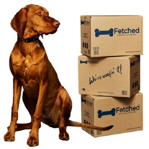 dog-with-boxes.png